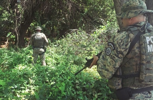 Operação da CIPE Sudoeste resulta na apreensão de 12 kg de maconha em Iuiú