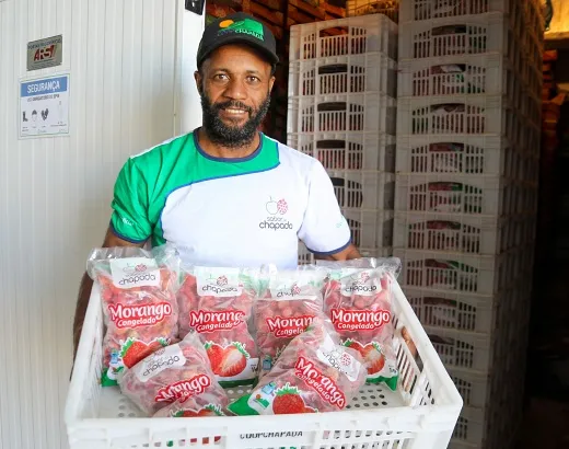 Unidade de beneficiamento de frutas vermelhas amplia renda da agricultura familiar