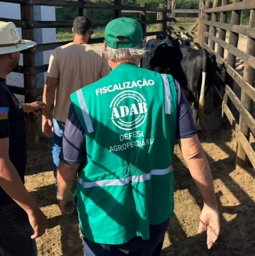 Adab intensifica acompanhamento de feiras de animais em todo o estado