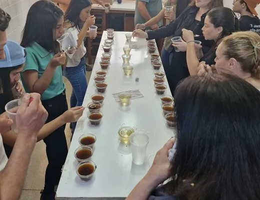 Uesb impulsiona setor cafeeiro com laboratório especializado no estudo de grãos de café