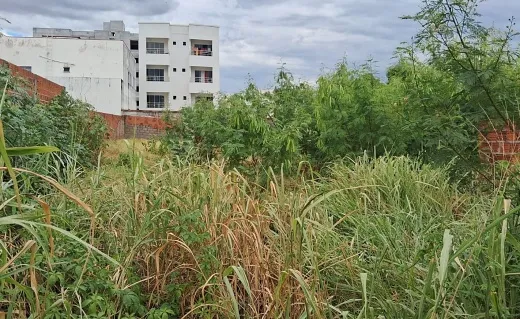 Prefeitura altera legislação e amplia regras para fiscalização de terrenos com entulho