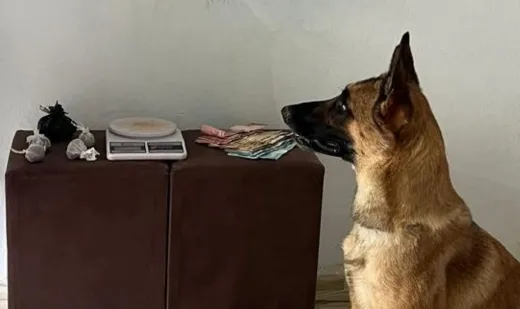 PMBA apreende drogas com apoio da cadela Athena em sua primeira atuação isolada 