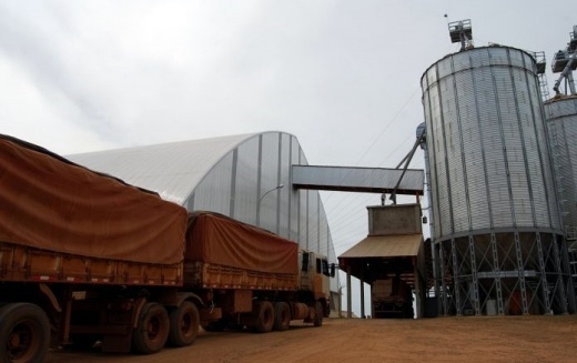 Bahia lidera exportações agrícolas no Nordeste em 2024