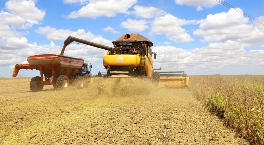 Bahia lidera exportações do agro no Nordeste em janeiro
