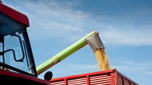 Bahia tem sete cidades entre as 50 maiores produtoras agrícolas do Brasil e se consolida como líder no Nordeste