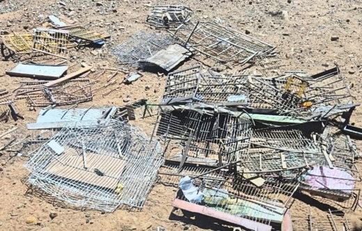 CIPPA Lençóis resgata 17 aves e apreende armadilhas durante operação em Caturama e Rio do Pires