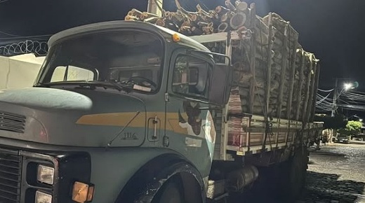 CIPPA/Lençóis apreende caminhão de madeira nativa sem documentação em Oliveira dos Brejinhos