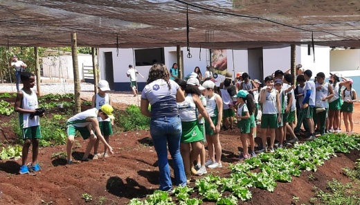 Cerca de 1.200 pessoas participam de ações ambientais na RHI Magnesita